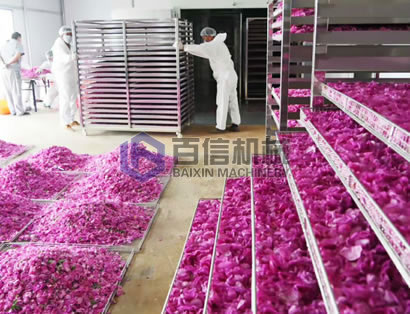 玫瑰花烘干機案例